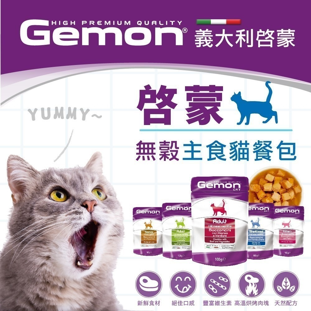 啟蒙無穀主食 貓餐包 100g 主食罐  貓餐盒 貓主食罐 gemon 貓罐頭 義大利 Gemon