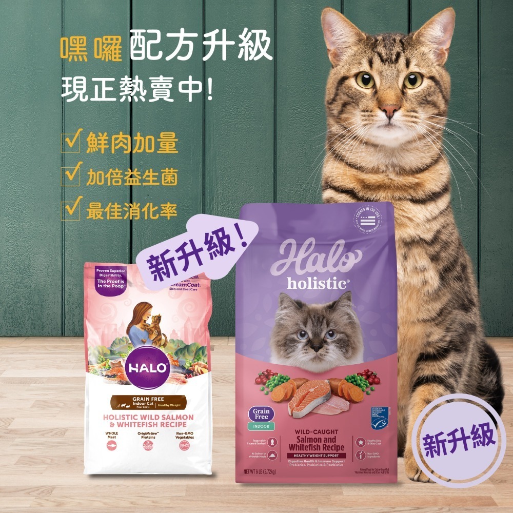 HALO 貓飼料 成貓雞肉 3磅 6磅 10磅 嘿囉 WDJ推薦 最接近鮮食的乾糧 低敏 無穀 天然糧 halo-細節圖2