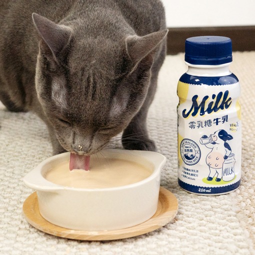 汪喵星球 寵物牛奶 零乳糖牛乳 貓用牛奶 犬用牛奶 250ml 貓牛奶 狗牛奶-細節圖4