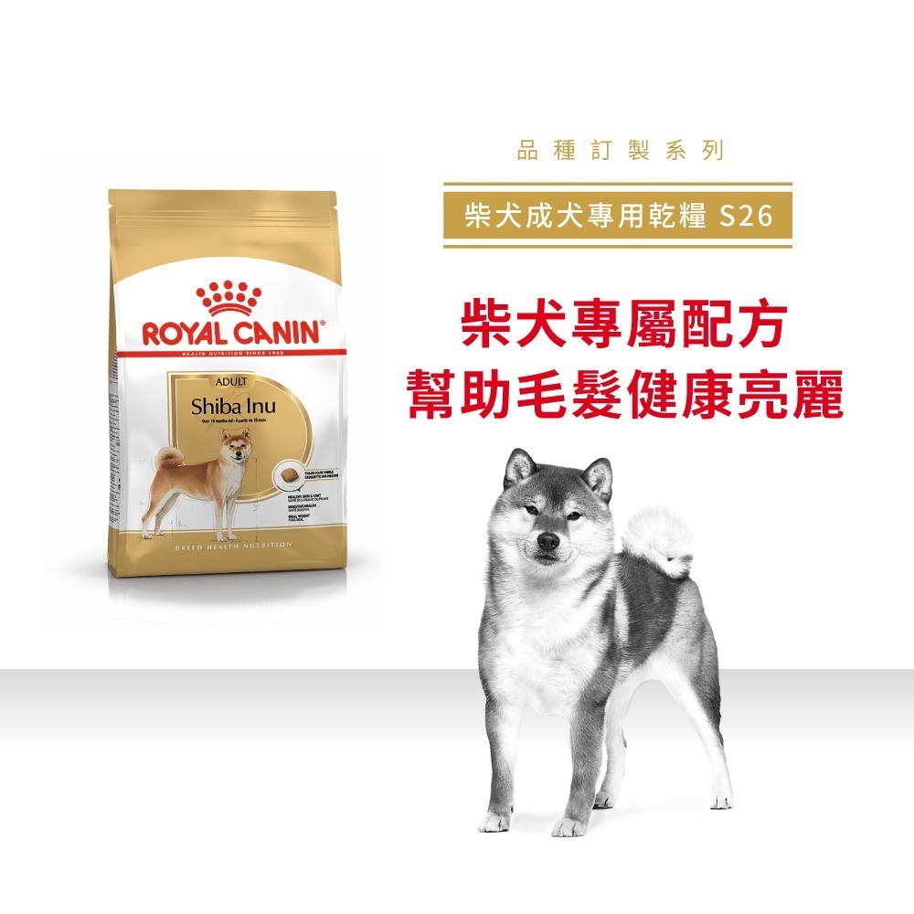 法國皇家 S26 柴犬成犬配方 4公斤 幫助腸胃保健 維持毛髮亮麗 ROYAL CANIN-細節圖3