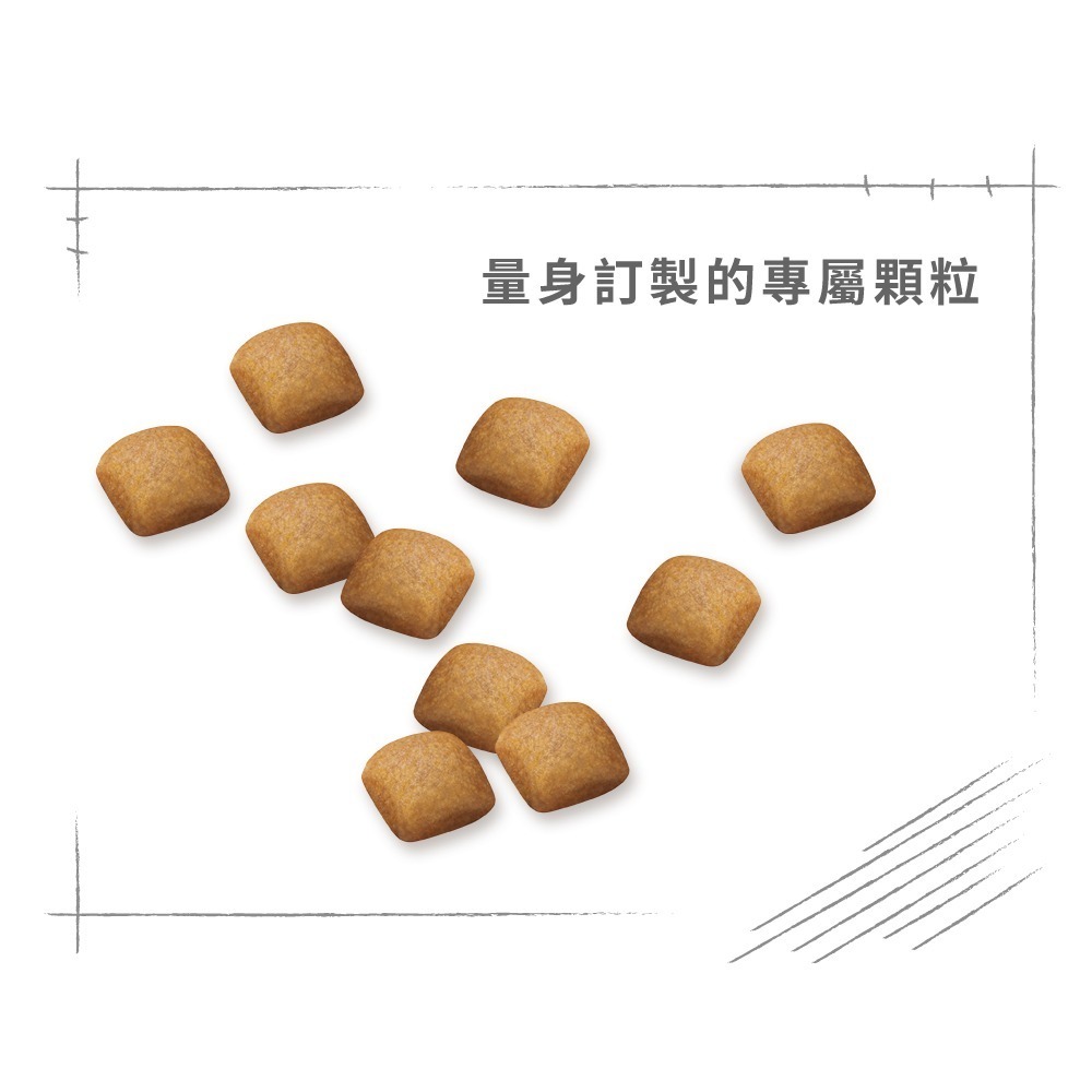 法國皇家 S26 柴犬成犬配方 4公斤 幫助腸胃保健 維持毛髮亮麗 ROYAL CANIN-細節圖4