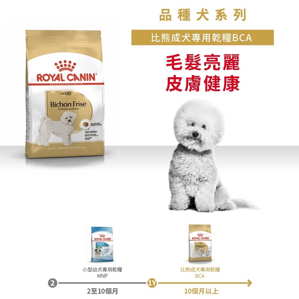 Royal Canin 皇家 比熊犬 1.5公斤 BCA 成犬 專用乾糧 法國皇家-細節圖2