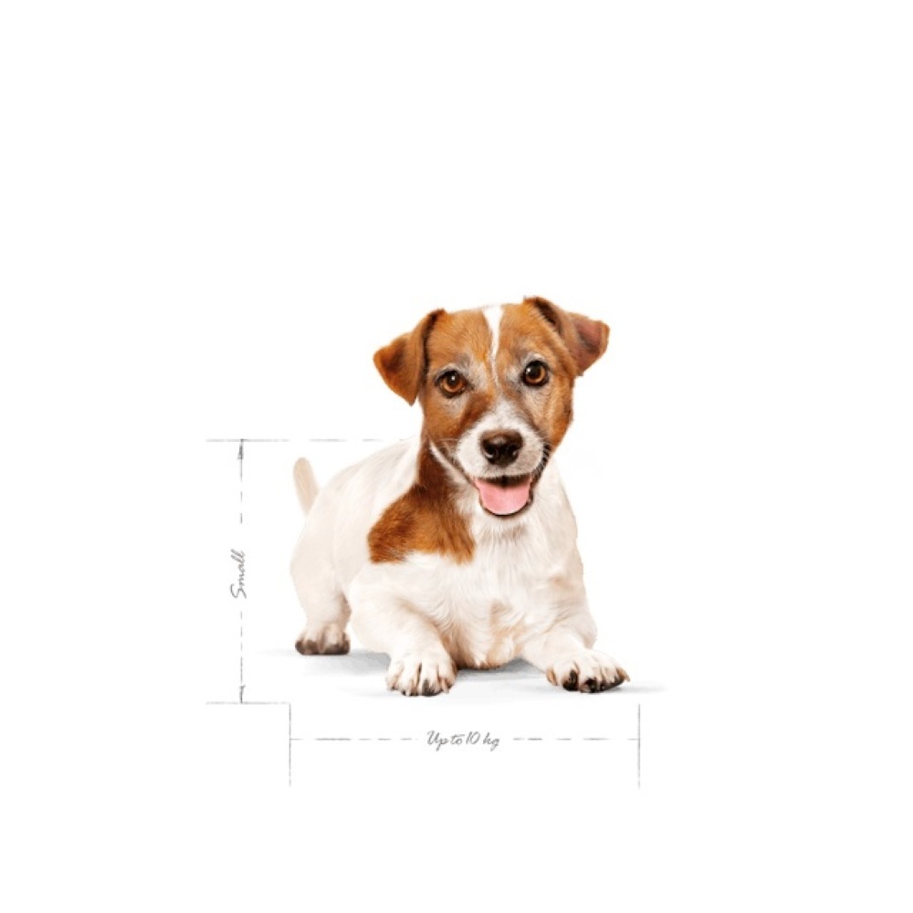 皇家 狗飼料 小型熟齡犬12歲 1.5公斤 MNA+12 小型老犬12+ 歲以上專用乾糧 Royal Canin-細節圖3