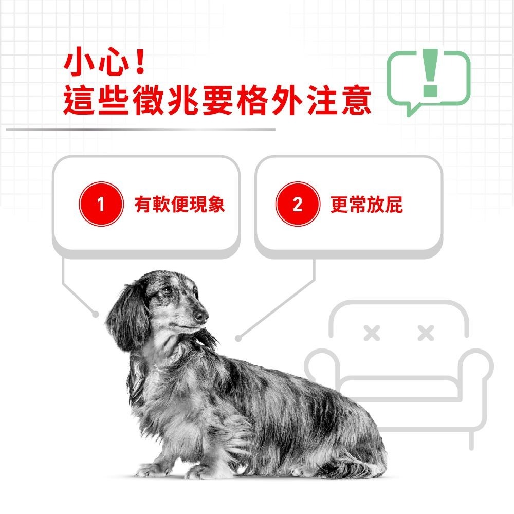 Royal Canin 皇家 腸胃保健小型成犬 3公斤 DGMN 水解蛋白 法國皇家-細節圖3
