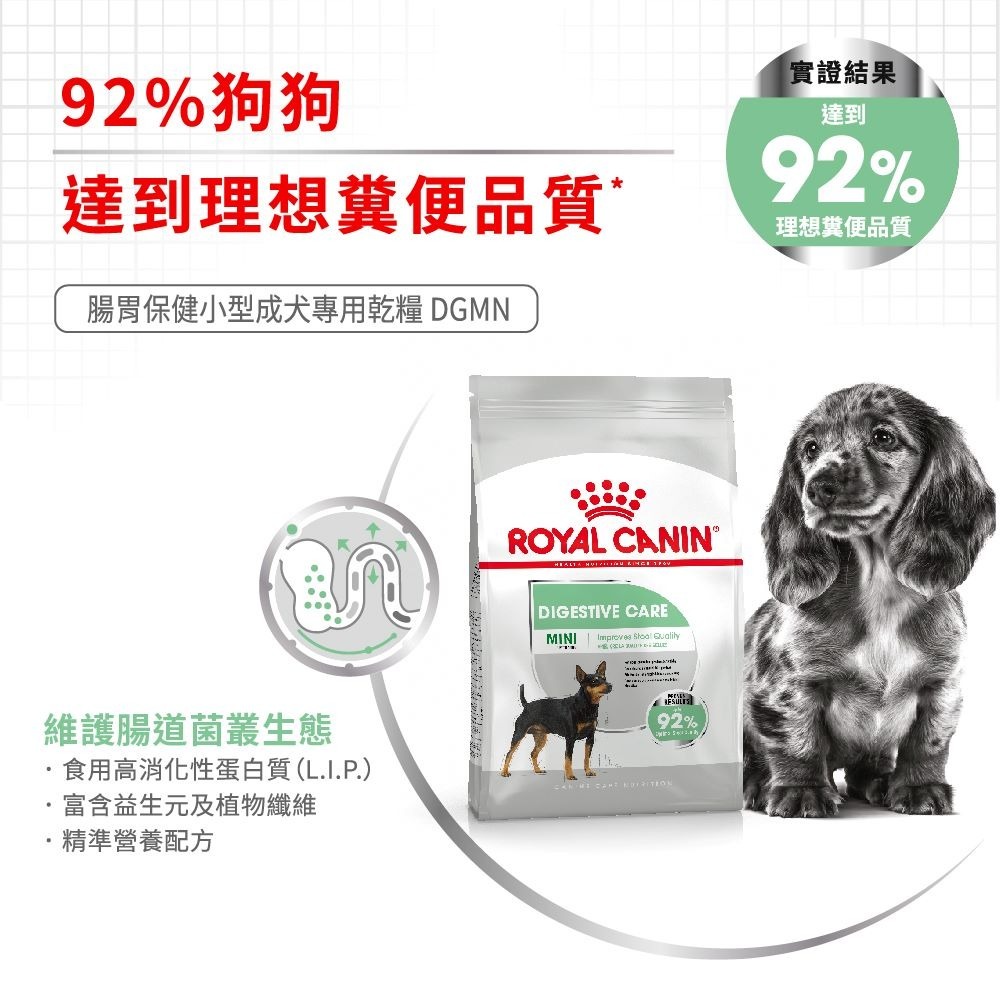 Royal Canin 皇家 腸胃保健小型成犬 3公斤 DGMN 水解蛋白 法國皇家-細節圖4