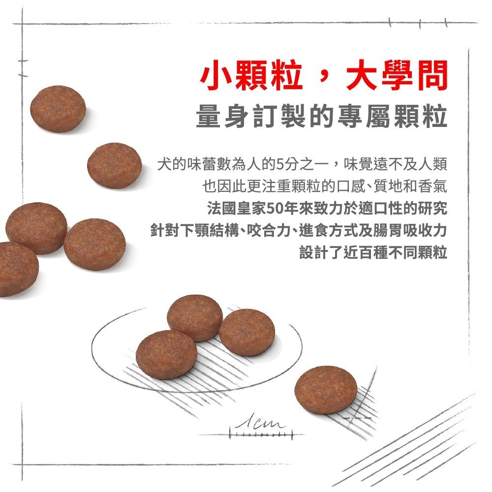 Royal Canin 皇家 腸胃保健小型成犬 3公斤 DGMN 水解蛋白 法國皇家-細節圖5