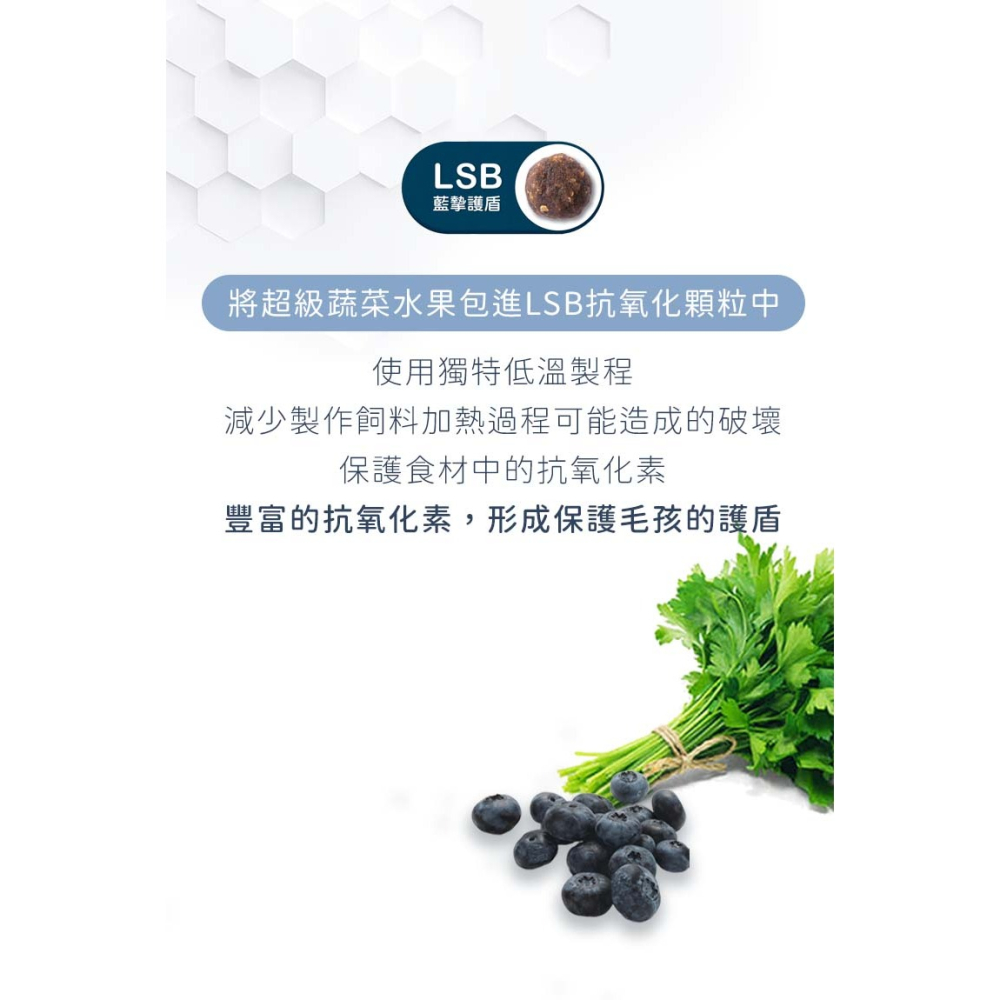 【免運】藍摯 貓飼料 2磅 4磅美國 抗氧化顆粒 維持免疫力 營養好吸收 BLUE BUFFALO 藍饌 貓糧-細節圖4