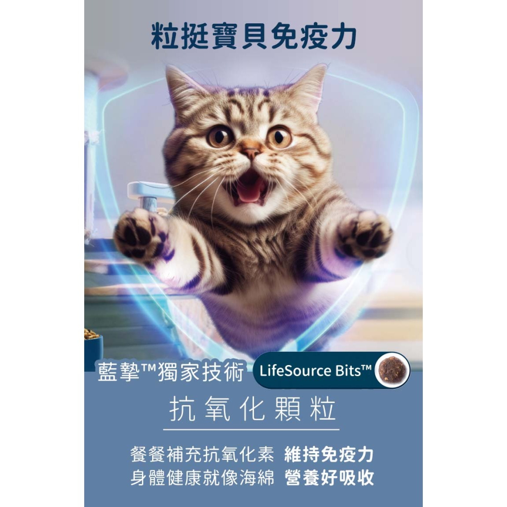 【免運】藍摯 貓飼料 11磅美國 抗氧化顆粒 維持免疫力 營養好吸收 BLUE BUFFALO 藍饌 貓糧-細節圖4
