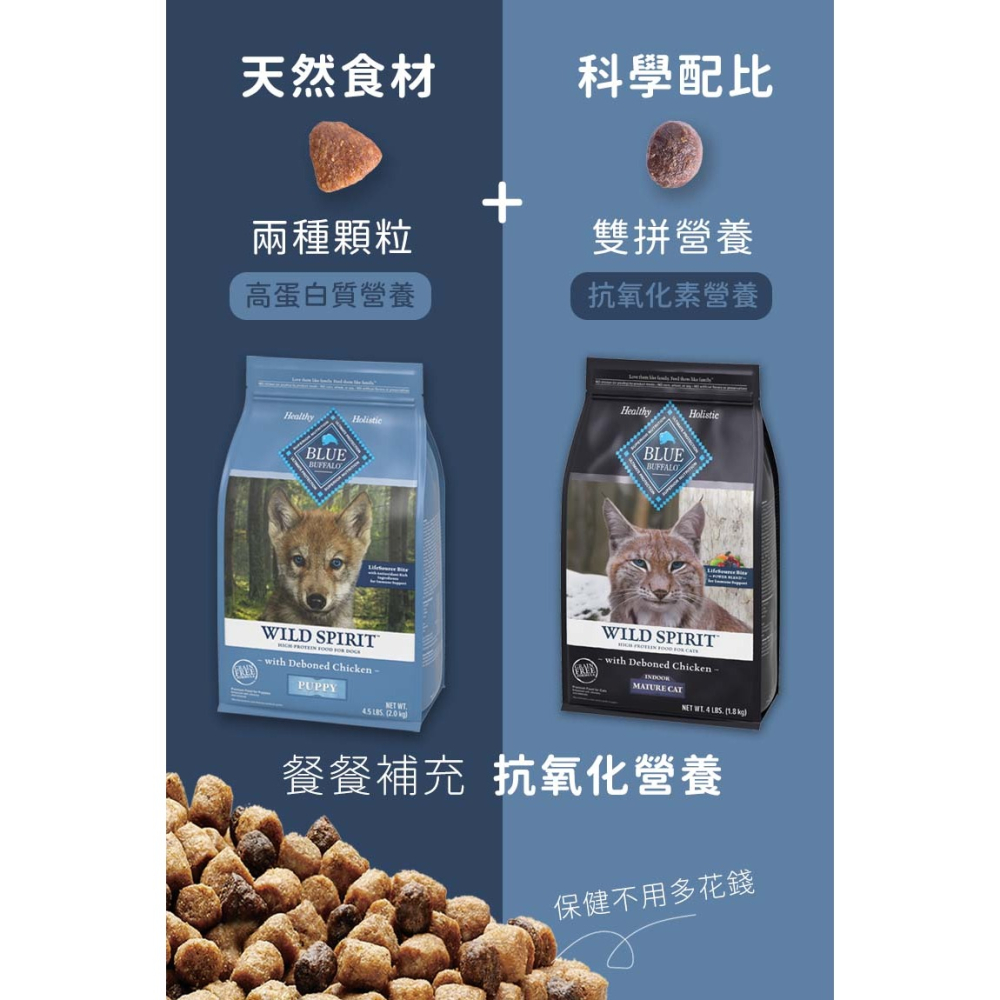 【免運】藍摯 狗飼料 13磅 美國 抗氧化顆粒 維持免疫力 營養好吸收 BLUE BUFFALO 藍饌-細節圖3