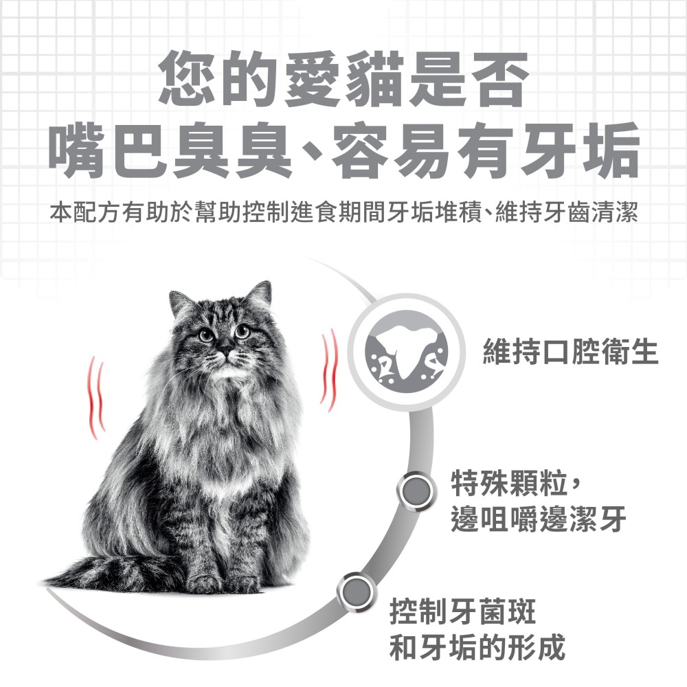 Royal Canin 法國 皇家 貓飼料 O30 強效潔牙成貓 維持口腔衛生-細節圖3