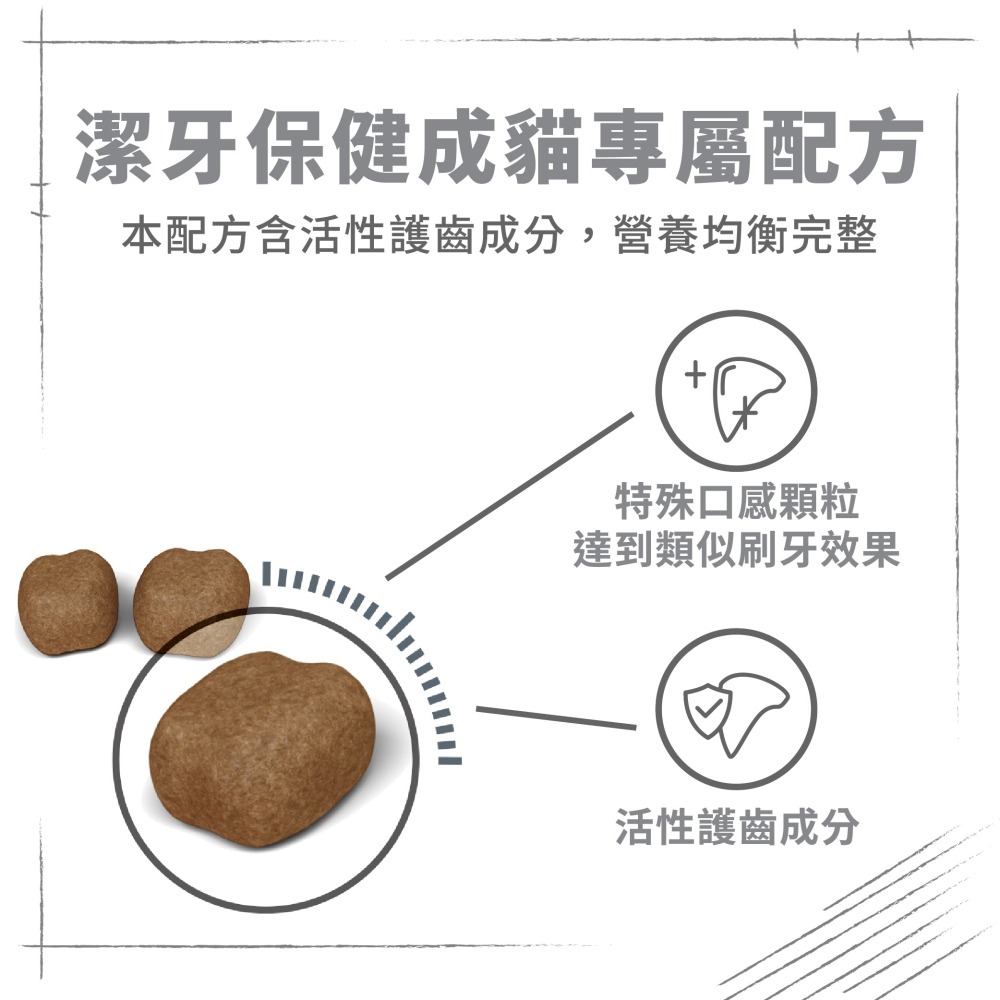 Royal Canin 法國 皇家 貓飼料 O30 強效潔牙成貓 維持口腔衛生-細節圖4
