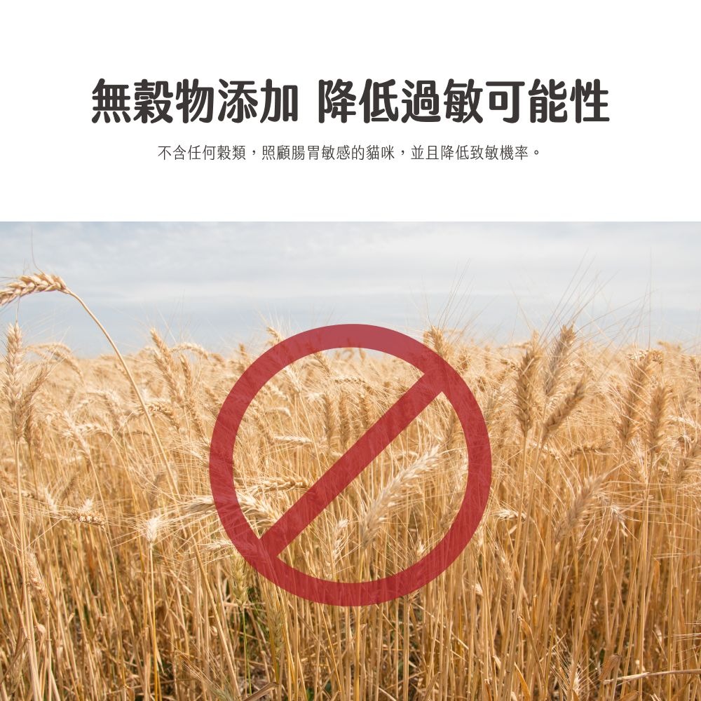 自然小貓 貓罐頭 98%動物性蛋白主食罐 70g 貓主食罐 主食罐 貓罐-細節圖5