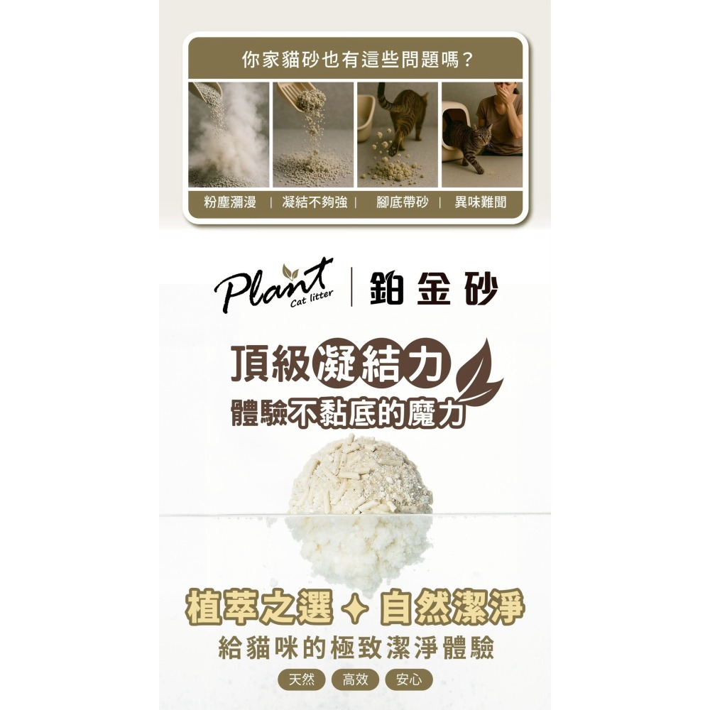 Doter Plant 輕植系 鉑金砂 2.2KG 豆腐砂 木薯砂 貓砂 寵愛物語 不黏底 高凝結力 高吸水力 低粉塵-細節圖6