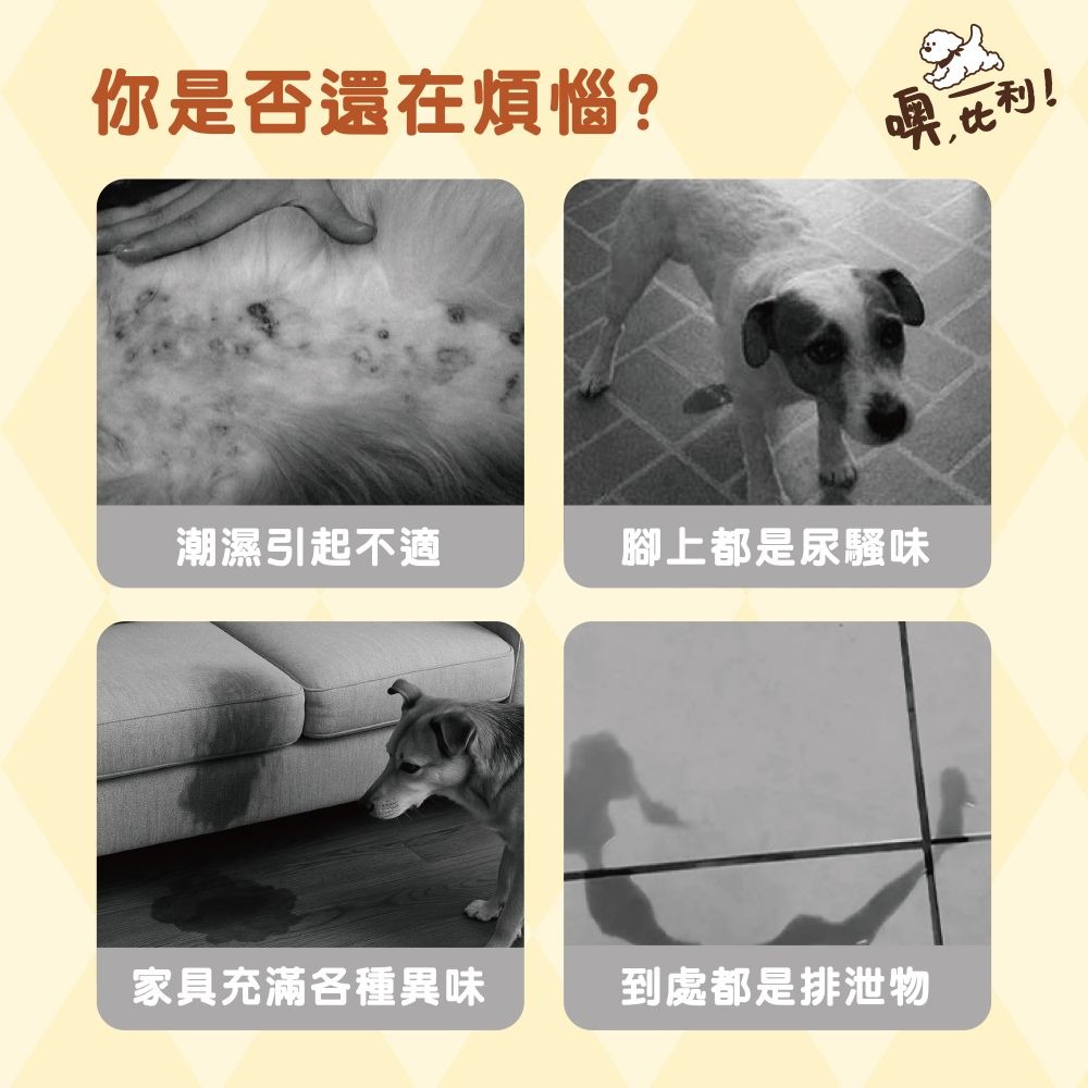 噢,比利！立體菱格紋 尿布墊 寵物尿布 瞬吸乾爽 堅韌厚實 防滲底膜 一丟即淨 O,Bli-細節圖2