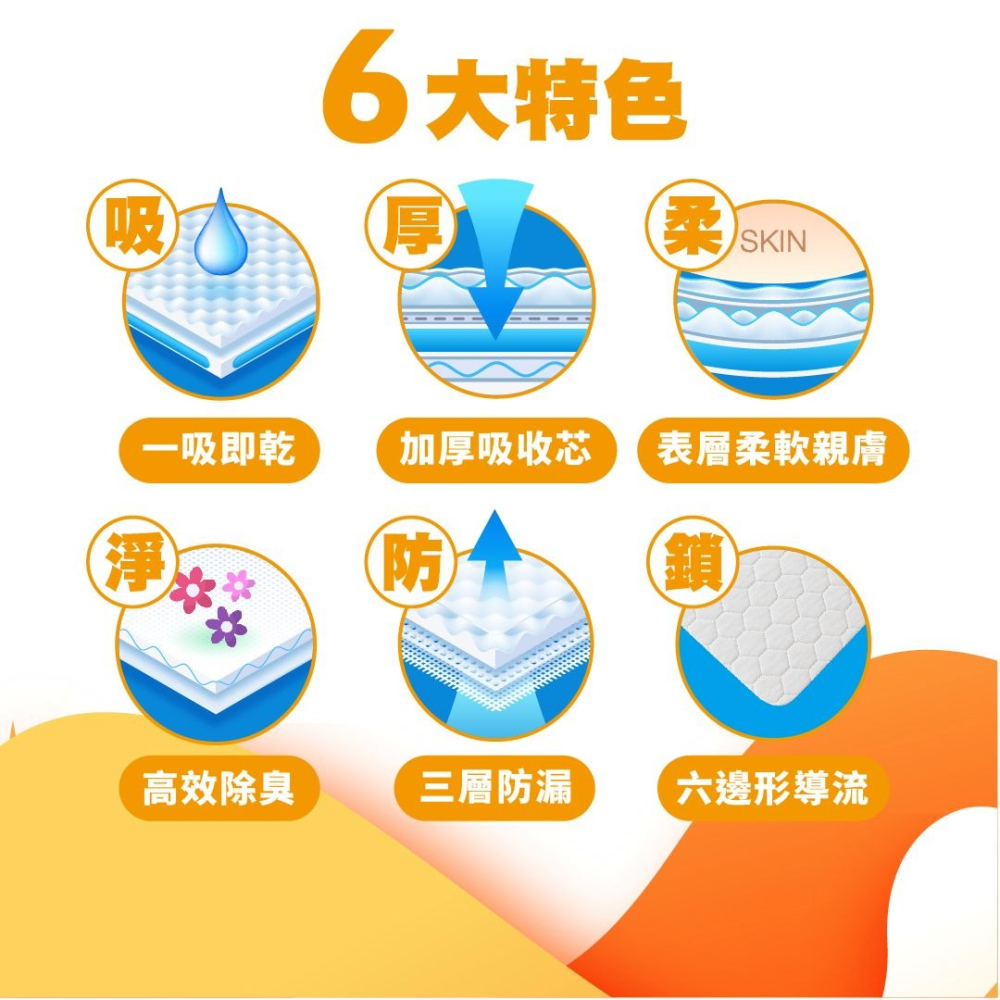 Ms.Pet 寵物小姐 【厚】吸紙尿布 寵物尿布墊 一吸即乾 高效除臭 三層防漏 六邊形導流-細節圖4