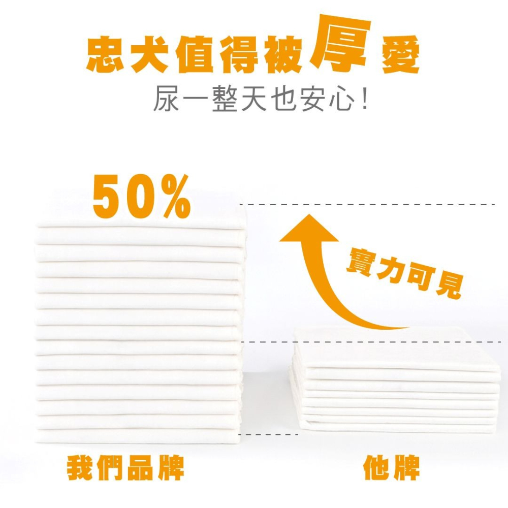 Ms.Pet 寵物小姐 【厚】吸紙尿布 寵物尿布墊 一吸即乾 高效除臭 三層防漏 六邊形導流-細節圖5