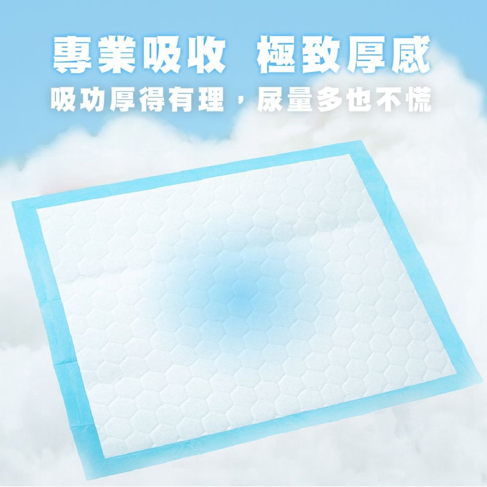 Ms.Pet 寵物小姐 【厚】吸紙尿布 寵物尿布墊 一吸即乾 高效除臭 三層防漏 六邊形導流-細節圖6