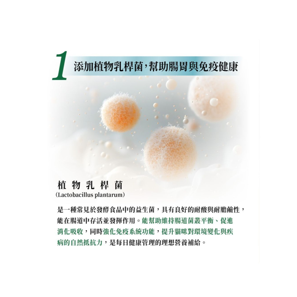Cherie 法麗 貓餐包 乳酸菌主食貓餐包 40g 機能保健配方 添加植物乳桿菌 幫助腸胃與免疫健康-細節圖4