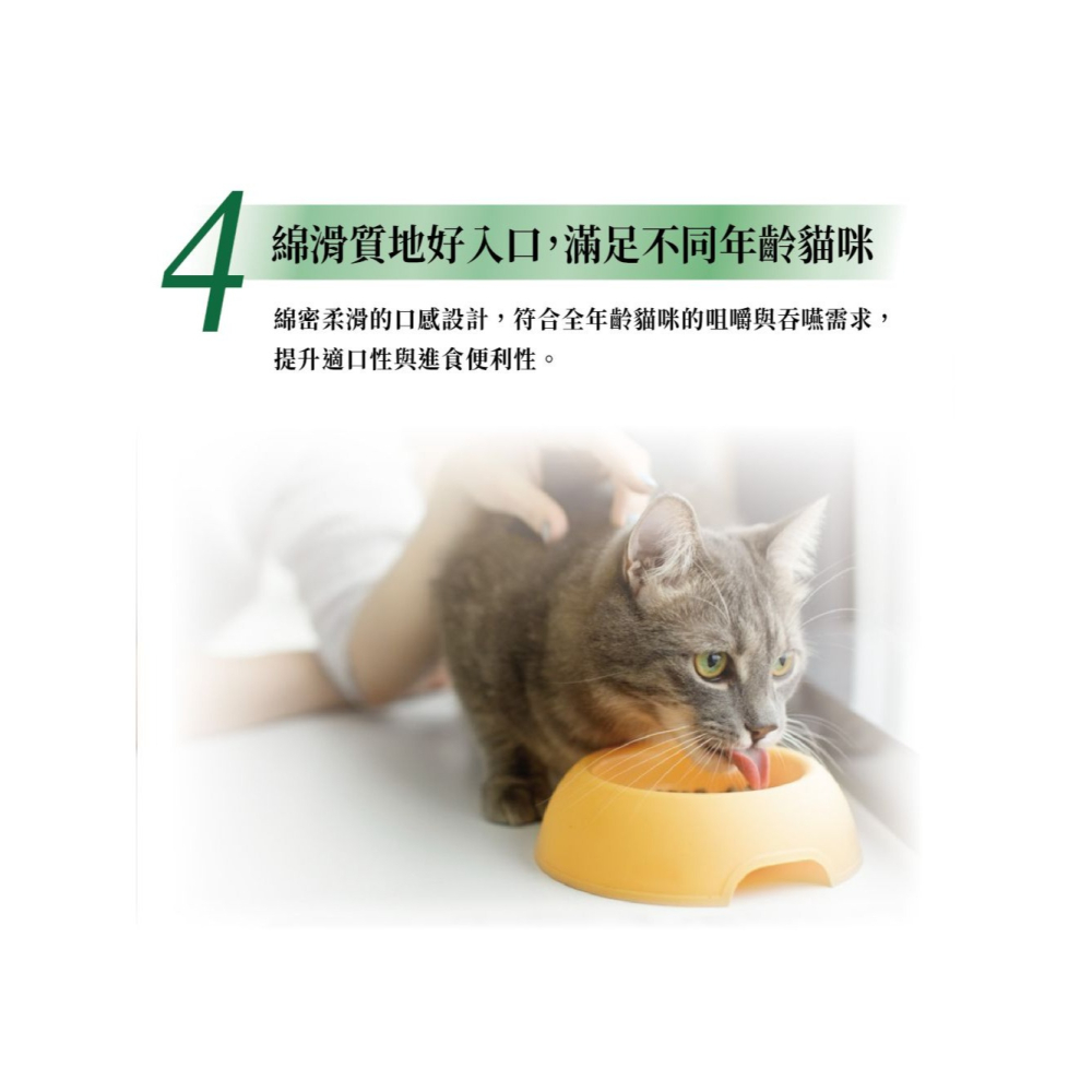 Cherie 法麗 貓餐包 乳酸菌主食貓餐包 40g 機能保健配方 添加植物乳桿菌 幫助腸胃與免疫健康-細節圖10
