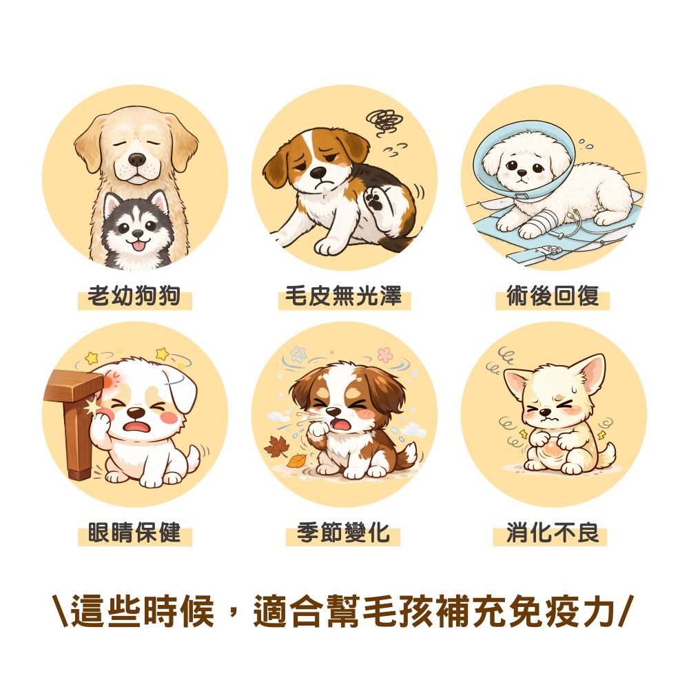 Ms.PET 寵物小姐 寵物保健錠 亮毛護膚 關節 腸胃消化 視力護眼 保健食品-細節圖2