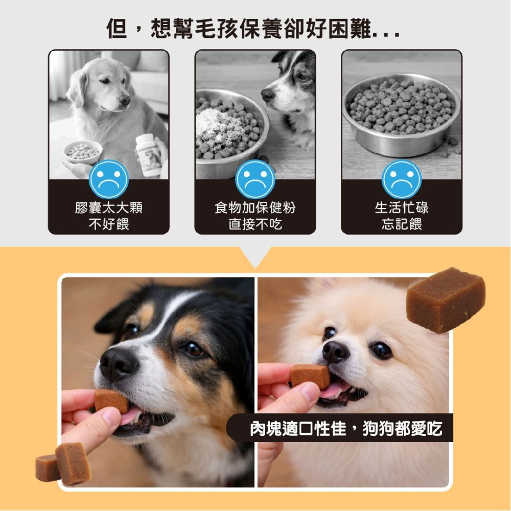 Ms.PET 寵物小姐 寵物保健錠 亮毛護膚 關節 腸胃消化 視力護眼 保健食品-細節圖3