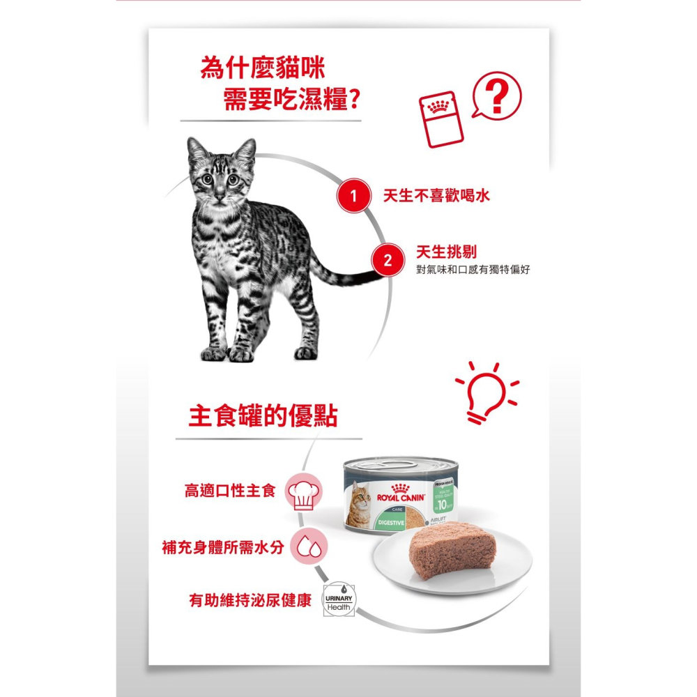 ROYALCANIN 皇家 AIRLIFT 主食罐 貓罐頭 綿密慕斯  A11C S33C L40C AP40C-細節圖3
