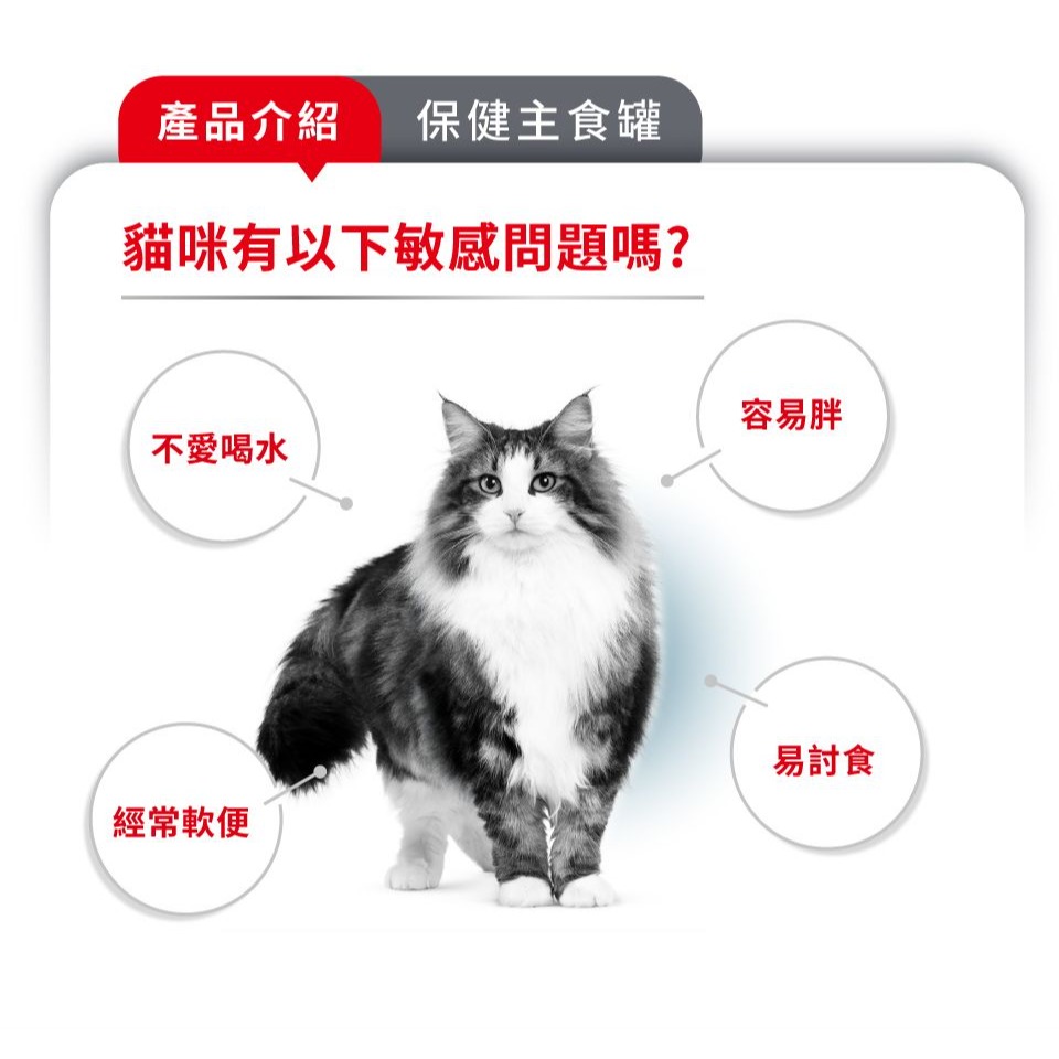 ROYALCANIN 皇家 AIRLIFT 主食罐 貓罐頭 綿密慕斯  A11C S33C L40C AP40C-細節圖5