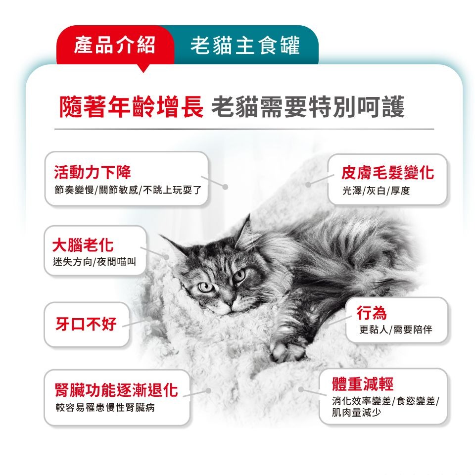 ROYALCANIN 皇家 AIRLIFT 主食罐 貓罐頭 綿密慕斯  A11C S33C L40C AP40C-細節圖7