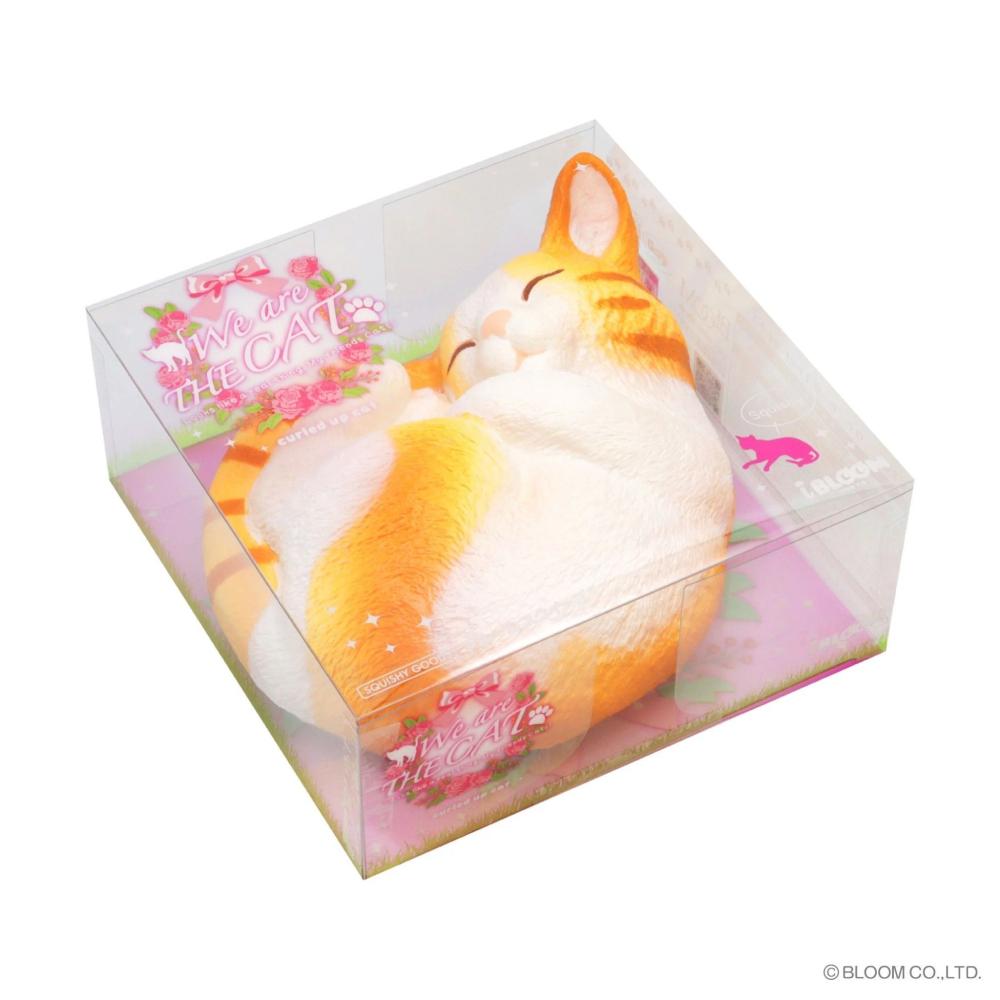 10/28【現貨】Ibloom蜷縮貓🐱-細節圖2