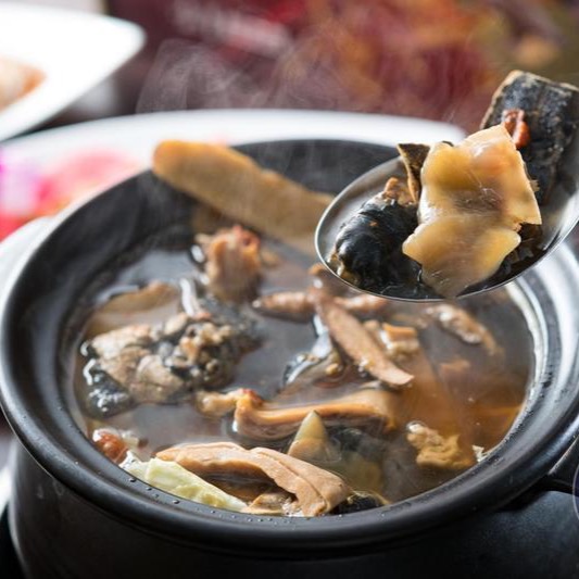 養身十全藥膳鱷魚湯-細節圖2