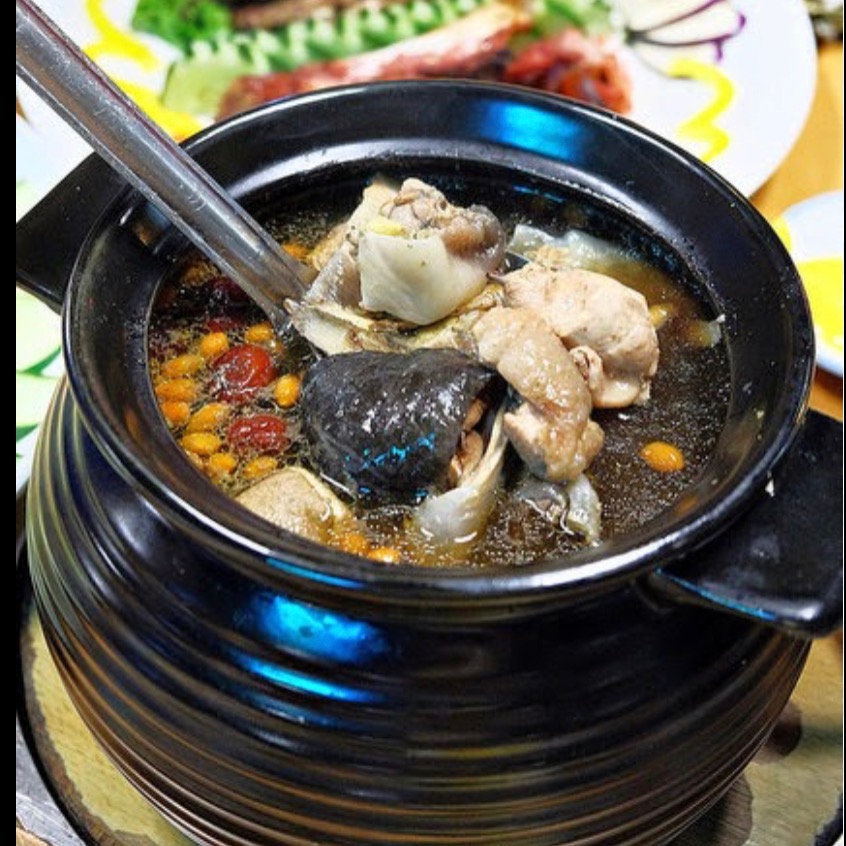 養身十全藥膳鱷魚湯-細節圖3