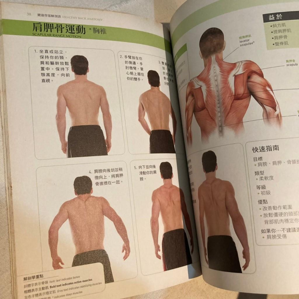 健康背部解剖書: 最完整的肩、頸、背健康指南 Healthy Back Anatomy 作 者： 菲利浦．史泰諾-細節圖3