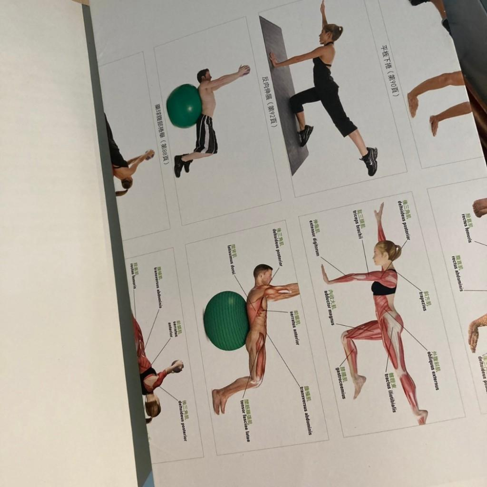 健康背部解剖書: 最完整的肩、頸、背健康指南 Healthy Back Anatomy 作 者： 菲利浦．史泰諾-細節圖4