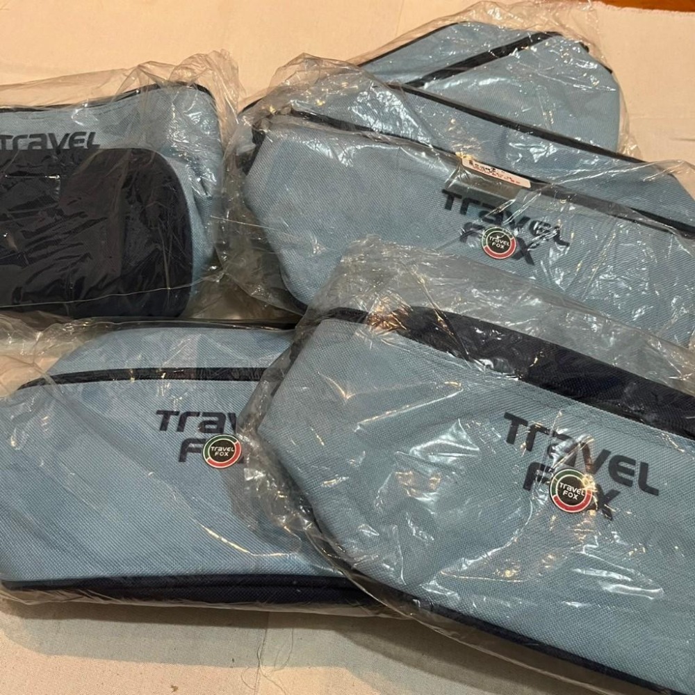 全新✨ Travel fox 收納包 行李收納包 便當盒提袋 多功能提袋 便當包溫包 旅行收納包 旅狐國際 便當袋-細節圖2