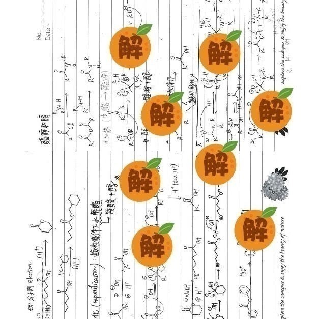 上榜生の有機化學筆記🍀方智 有機化學+原文書+有機化學天堂秘笈整理(學士後中西醫 化學研究所 私醫 轉學考)客製化訂單-細節圖8