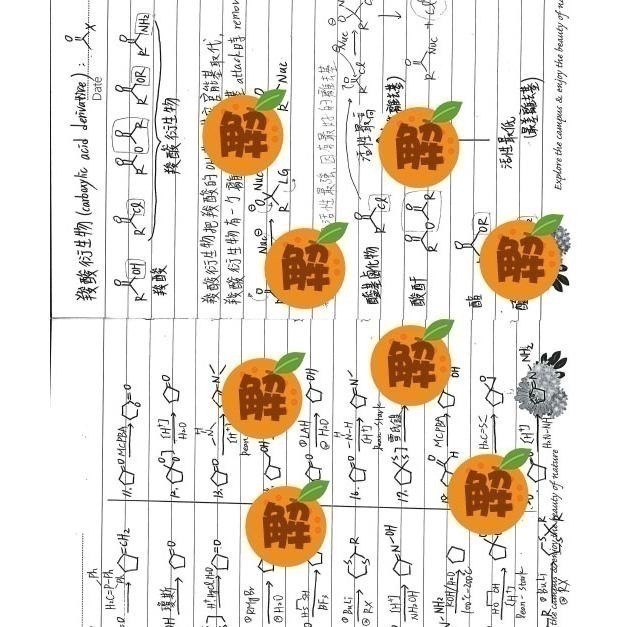 上榜生の有機化學筆記🍀方智 有機化學+原文書+有機化學天堂秘笈整理(學士後中西醫 化學研究所 私醫 轉學考)客製化訂單-細節圖4