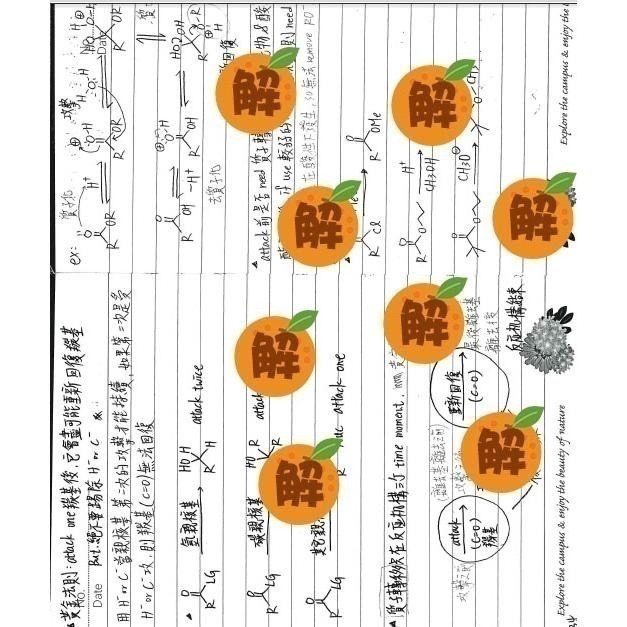 上榜生の有機化學筆記🍀方智 有機化學+原文書+有機化學天堂秘笈整理(學士後中西醫 化學研究所 私醫 轉學考)客製化訂單-細節圖5