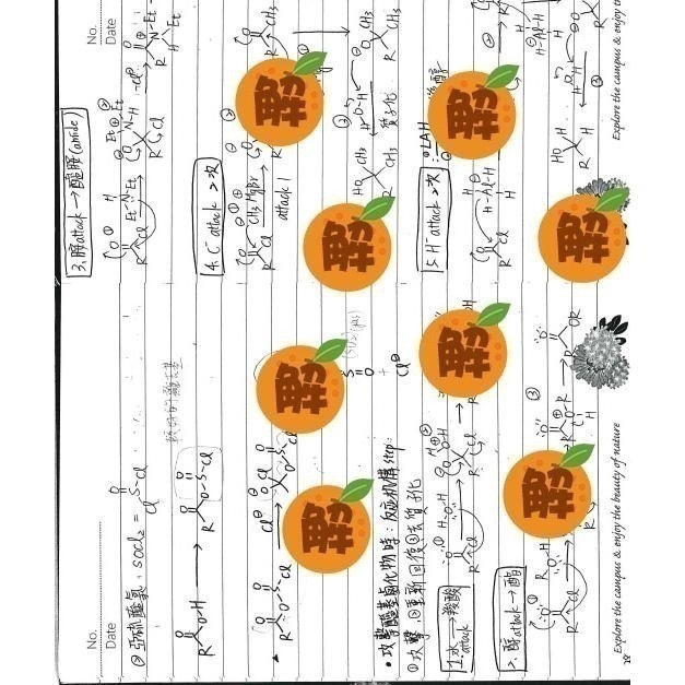 上榜生の有機化學筆記🍀方智 有機化學+原文書+有機化學天堂秘笈整理(學士後中西醫 化學研究所 私醫 轉學考)客製化訂單-細節圖6