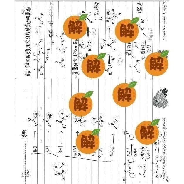 上榜生の有機化學筆記🍀方智 有機化學+原文書+有機化學天堂秘笈整理(學士後中西醫 化學研究所 私醫 轉學考)客製化訂單-細節圖7