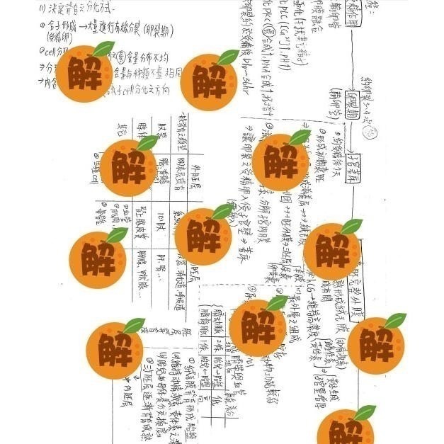 上榜生の普通生物學+生物化學+生理學+Campbell 12+高立生物 整理筆記🍀學士後中西醫、私醫普通生物 客製化訂-細節圖9