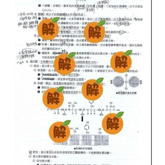 應屆成大醫上榜生の高中生物筆記🍀資優班生物+高中生物整理（生物奧林匹亞 生物分科測驗 總複習）114年期刊 客製化訂單-細節圖5