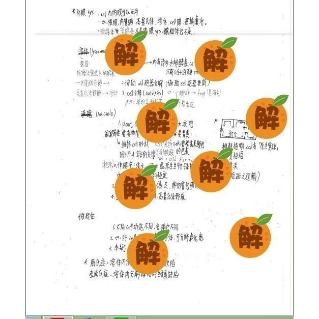 應屆成大醫上榜生の高中生物筆記🍀資優班生物+高中生物整理（生物奧林匹亞 生物分科測驗 總複習）114年期刊 客製化訂單-細節圖6