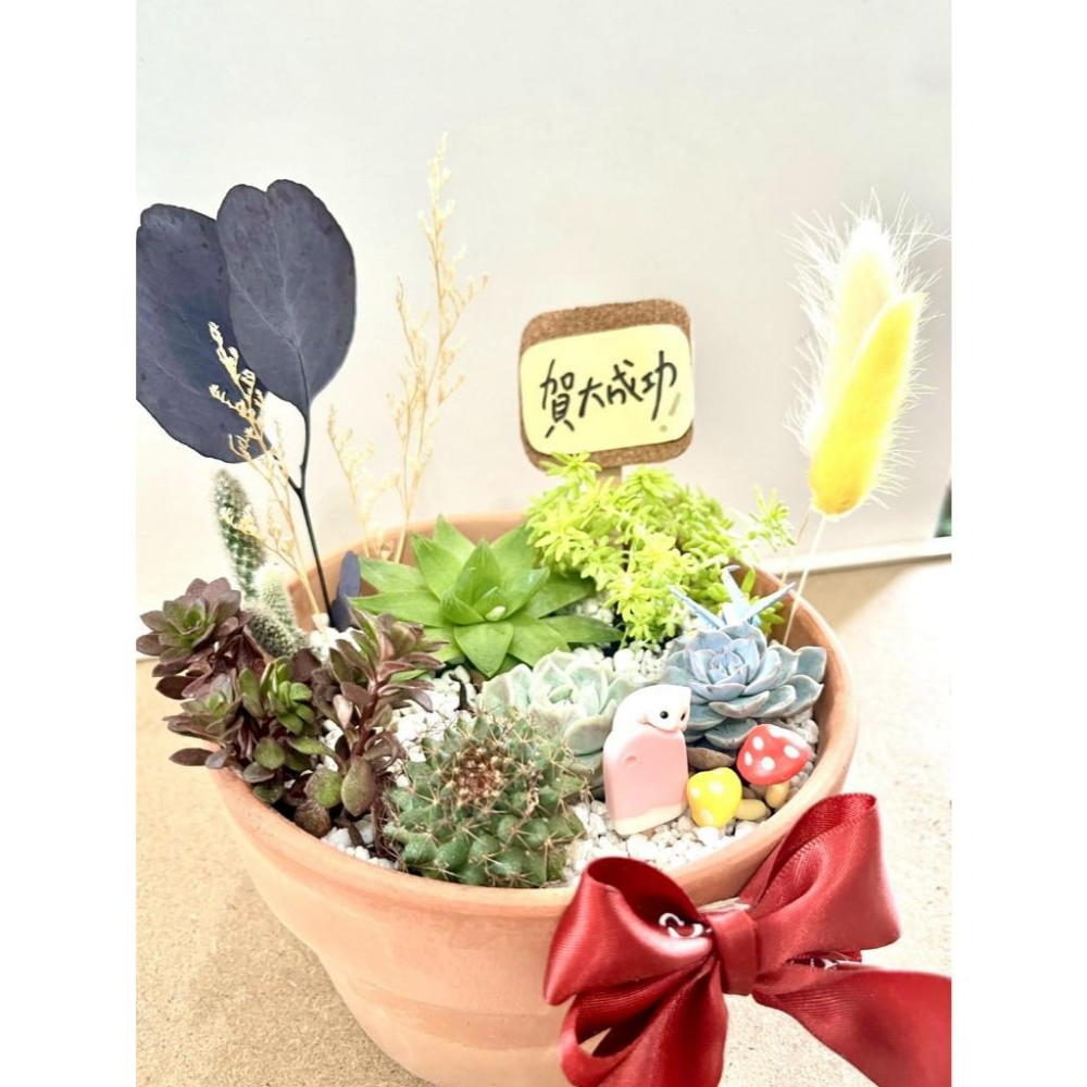 多肉組盆 多肉植物 日式枯山水 小鼠 黃金鼠 鼠家長送禮 老鼠 禪意 客製化 日式 多肉盆栽 多肉 仙人掌-細節圖2