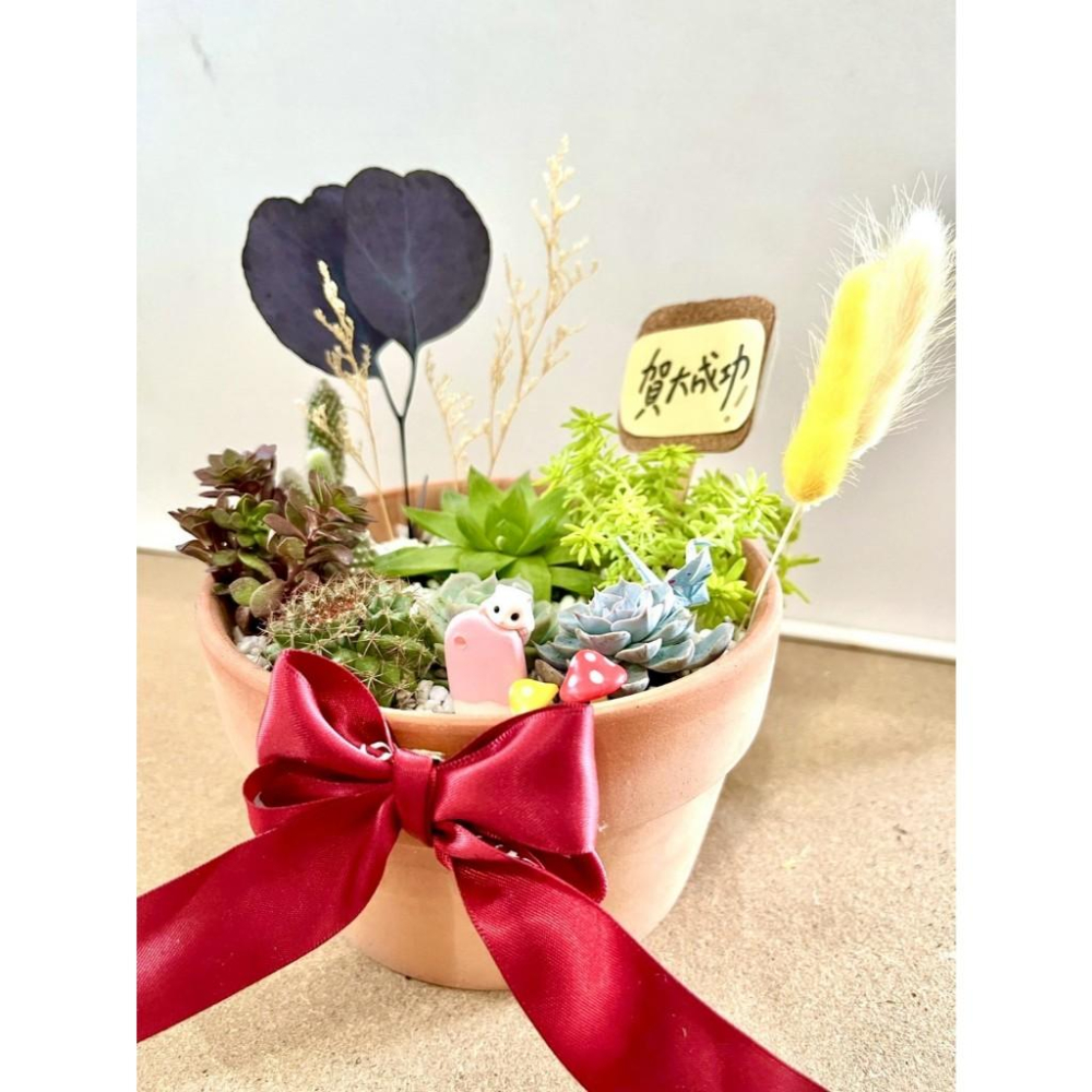 多肉組盆 多肉植物 日式枯山水 小鼠 黃金鼠 鼠家長送禮 老鼠 禪意 客製化 日式 多肉盆栽 多肉 仙人掌-細節圖3