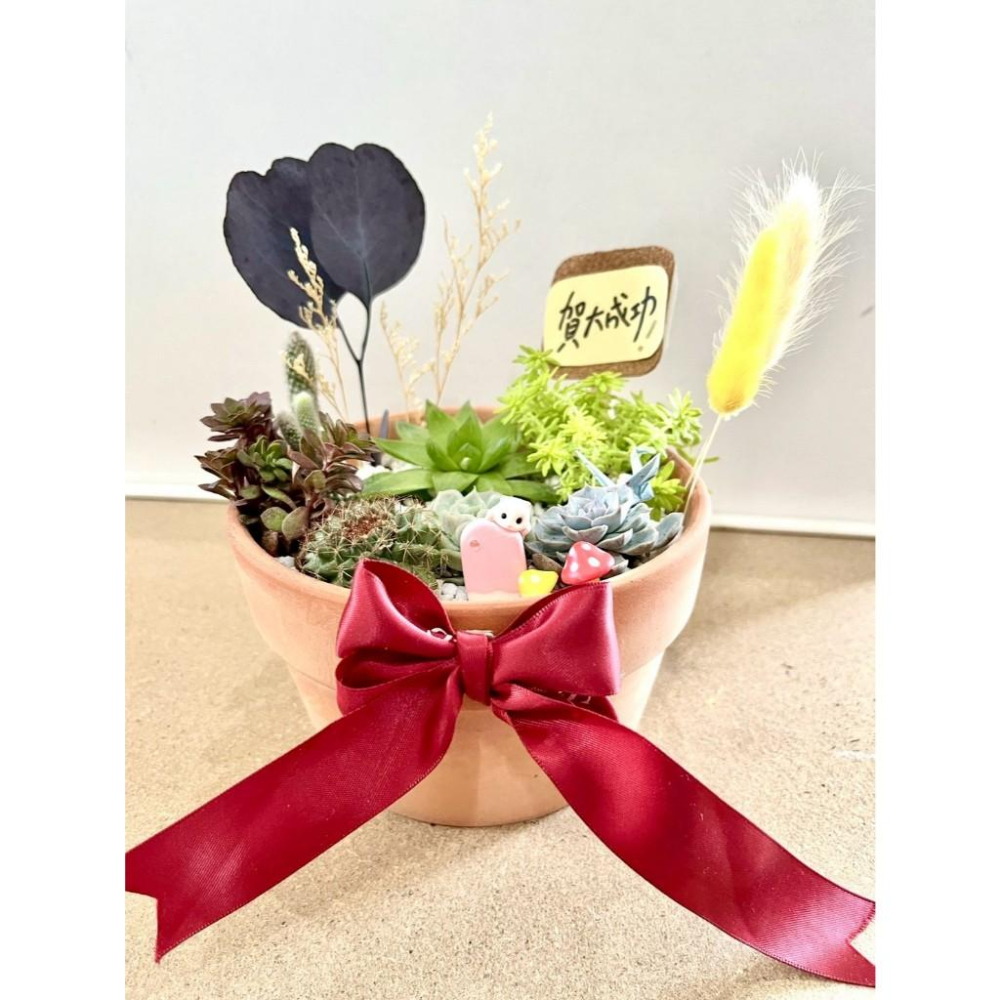 多肉組盆 多肉植物 日式枯山水 小鼠 黃金鼠 鼠家長送禮 老鼠 禪意 客製化 日式 多肉盆栽 多肉 仙人掌-細節圖4