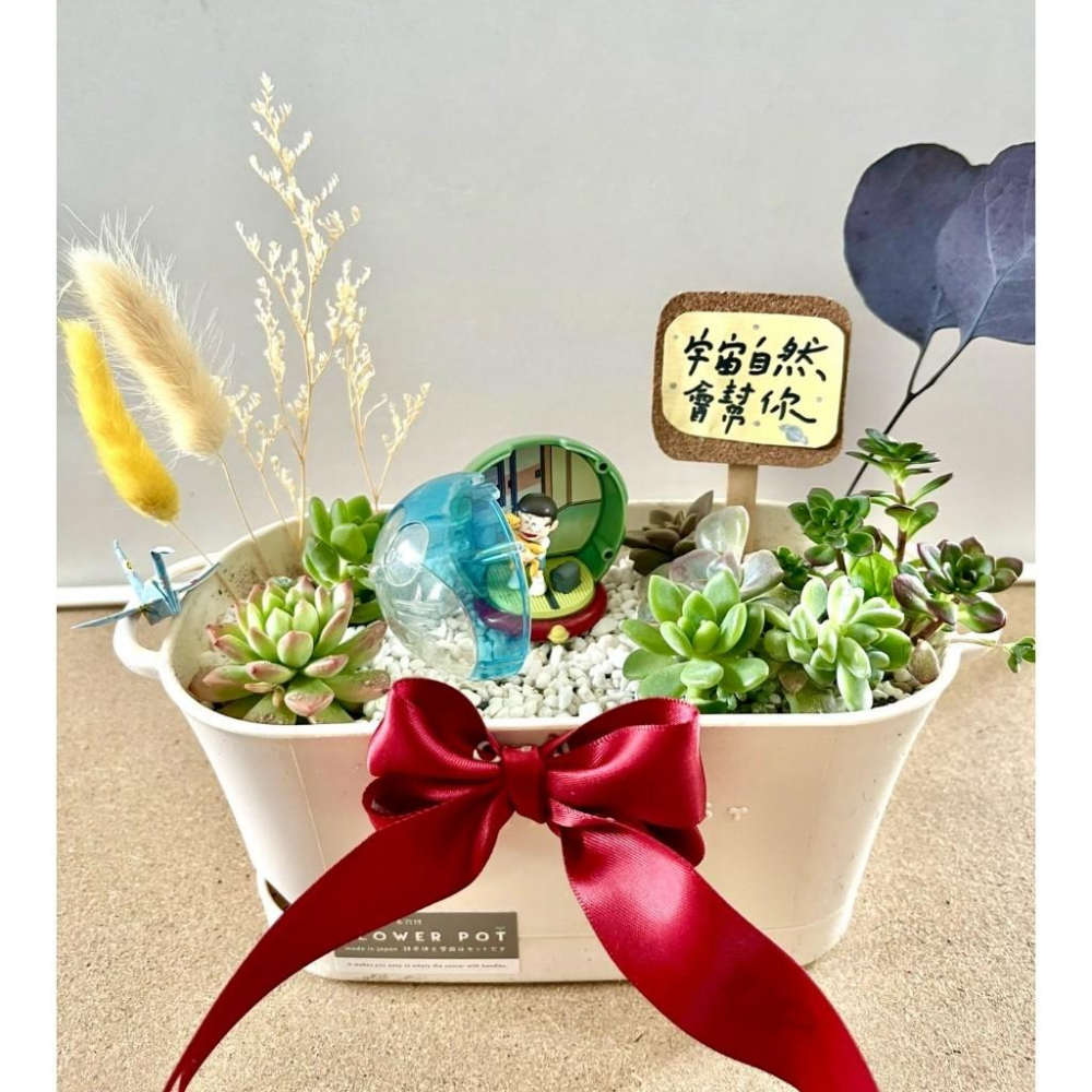 多肉組盆 多肉植物 日式枯山水 多啦A夢 大雄 小叮噹 植物盆栽  禪意 客製化 日式 多肉盆栽 多肉 仙人掌-細節圖2