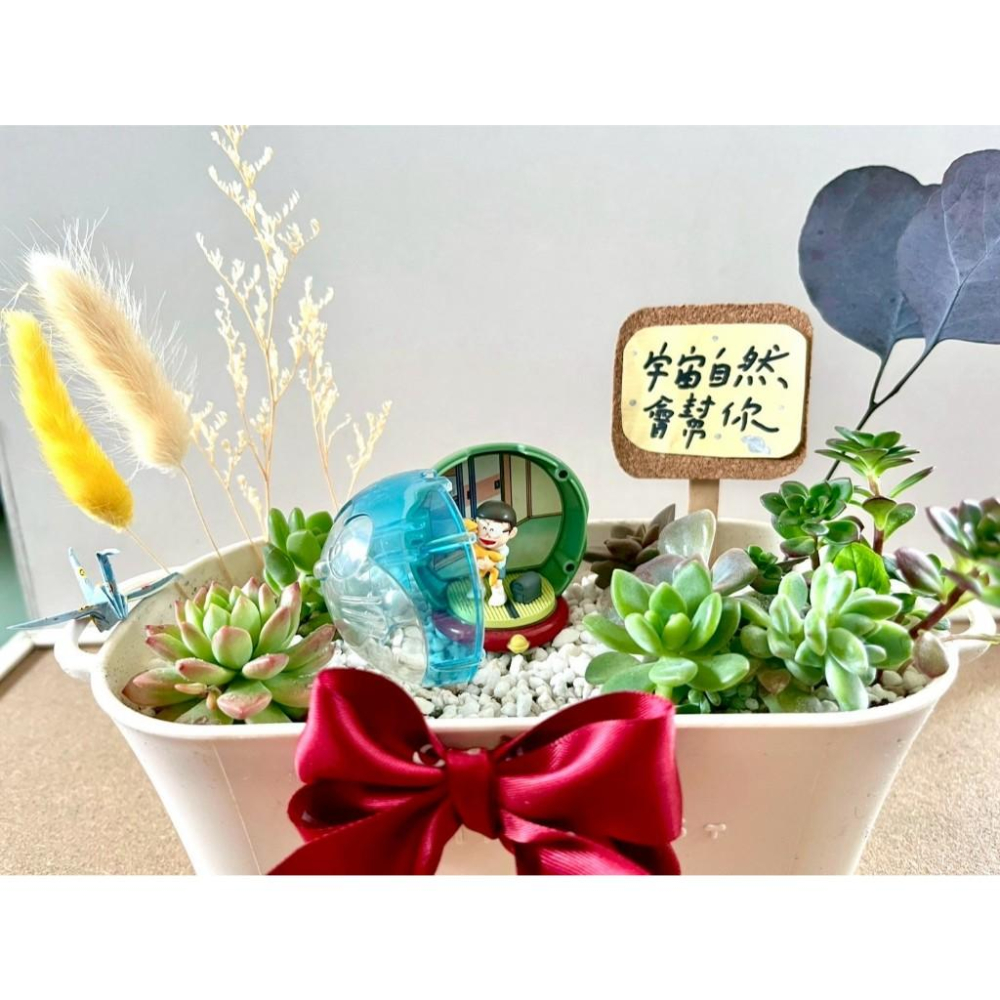 多肉組盆 多肉植物 日式枯山水 多啦A夢 大雄 小叮噹 植物盆栽  禪意 客製化 日式 多肉盆栽 多肉 仙人掌-細節圖4