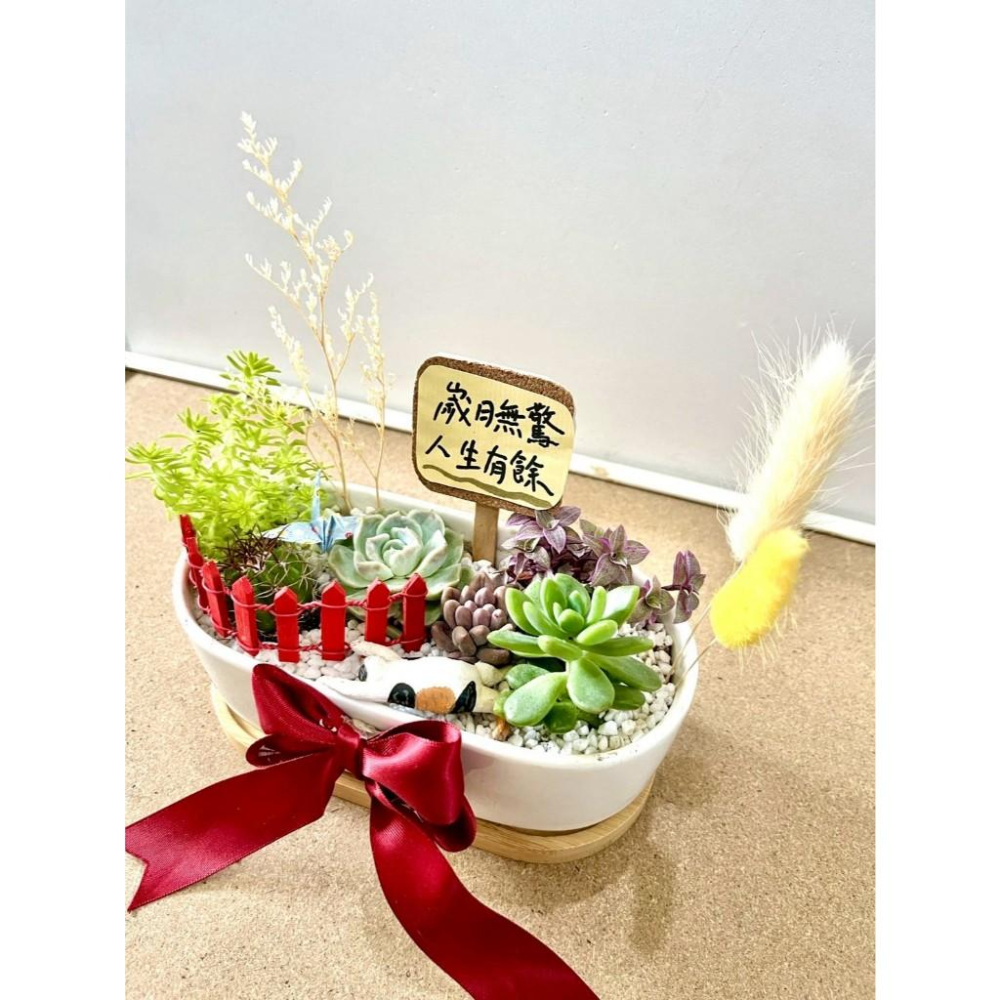 多肉組盆 多肉植物 日式枯山水 三花貓 玳瑁貓 貓奴送禮 貓咪 禪意 客製化 日式 多肉盆栽 多肉 仙人掌-細節圖2