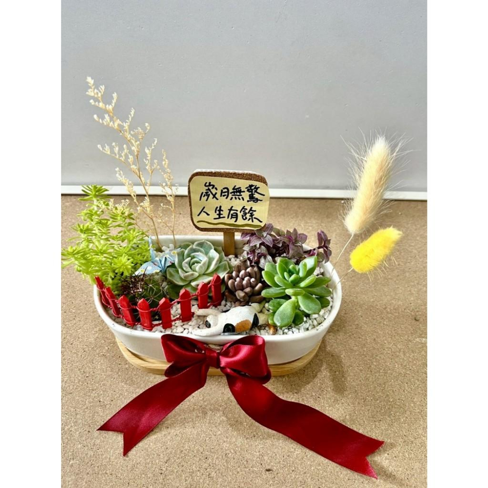 多肉組盆 多肉植物 日式枯山水 三花貓 玳瑁貓 貓奴送禮 貓咪 禪意 客製化 日式 多肉盆栽 多肉 仙人掌-細節圖3