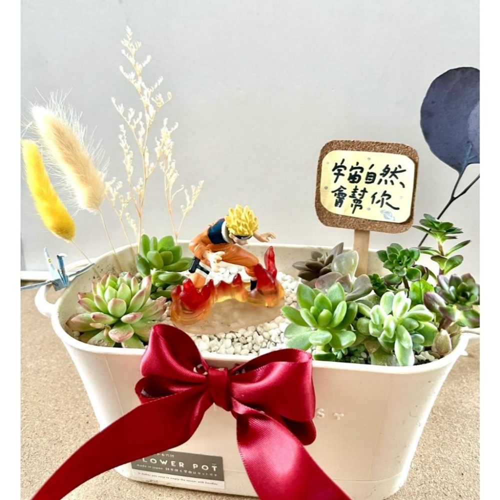 多肉組盆 多肉植物 日式 火影忍者 鳴人 NARUTO 漩渦鳴人 生日禮 植物盆栽 禪意 客製化 日式 多肉盆栽 多肉-細節圖2